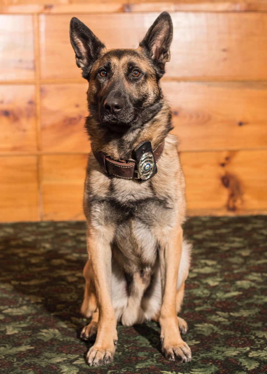 Belmont Police Department, NH Police Jobs