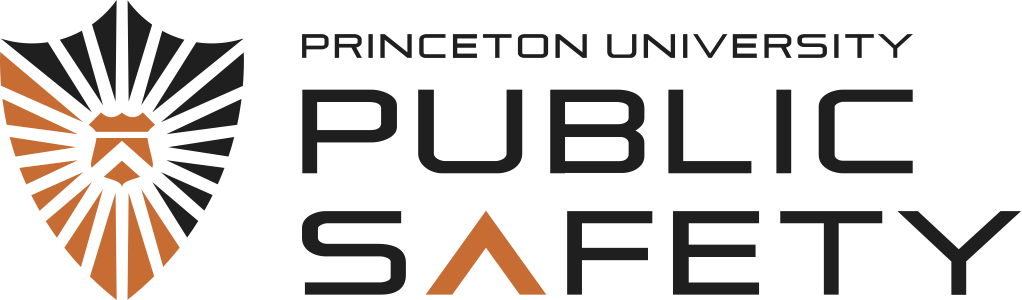 DPS Logo
