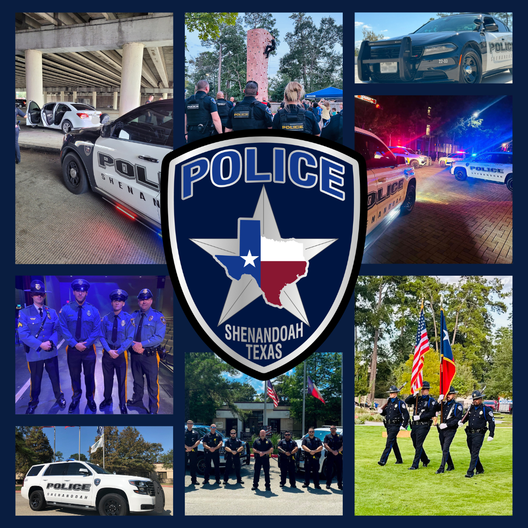Follow us on Instagram